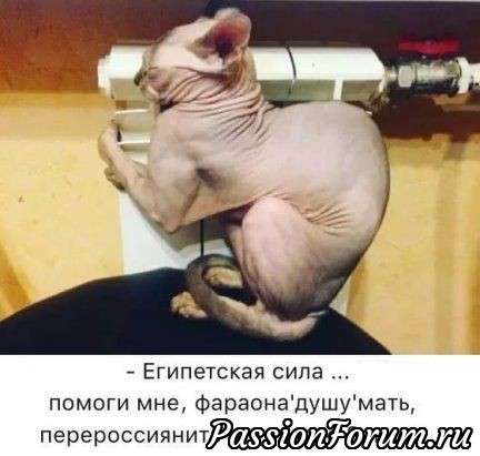 Улыбнёмся.