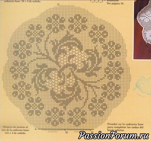 Muestras y Motivos Especial
