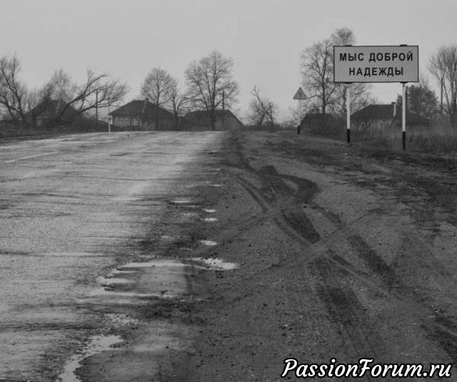 Весёлые картинки