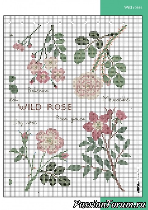 cross stitch collection