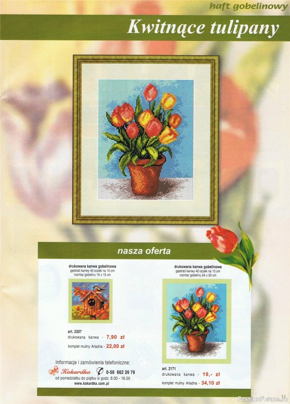 Журнал "Haft gobelinowy". 2006. 01