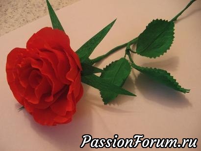 Алая роза из гофрированной бумаги.