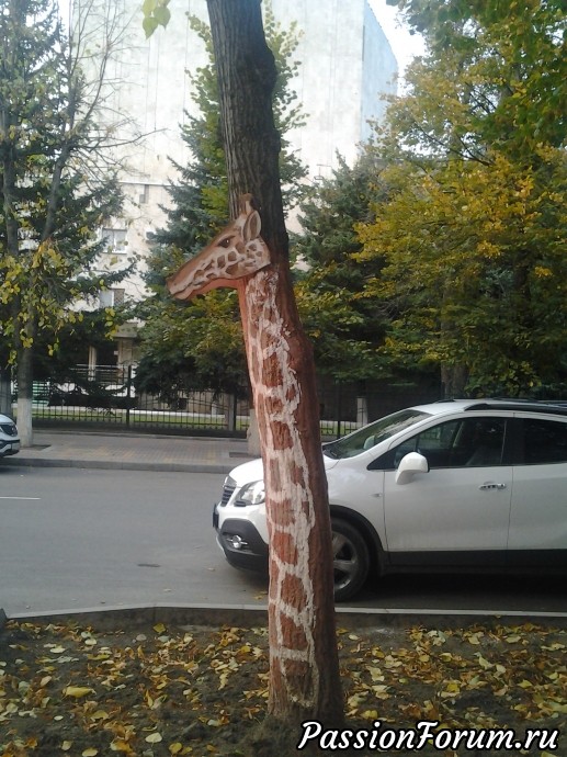 Едем за здоровьем