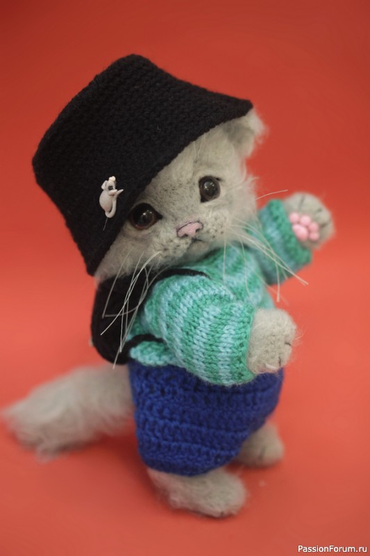 Серый котик