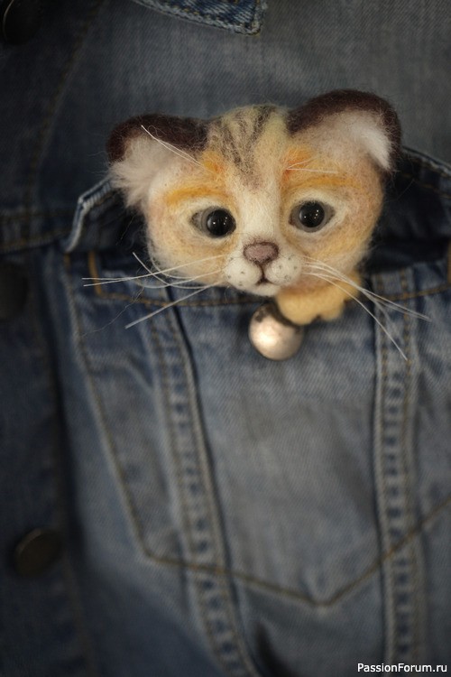 Котоброшь