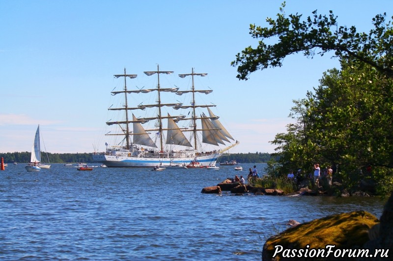 The Tall Ship Races