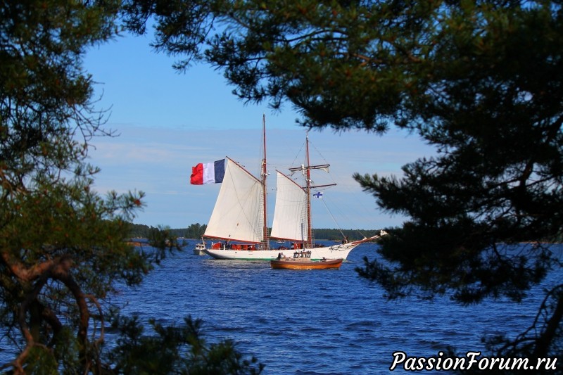 The Tall Ship Races