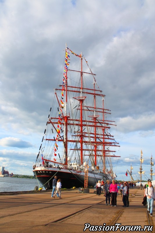 The Tall Ship Races