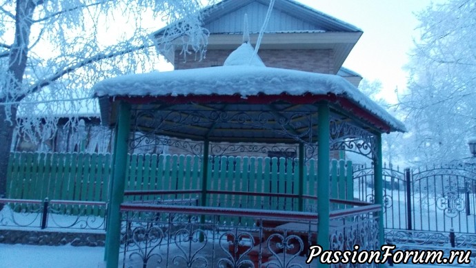 Картинки с выставки