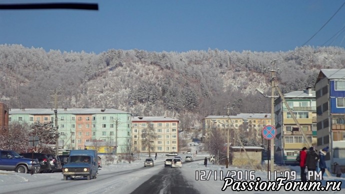 Картинки с выставки