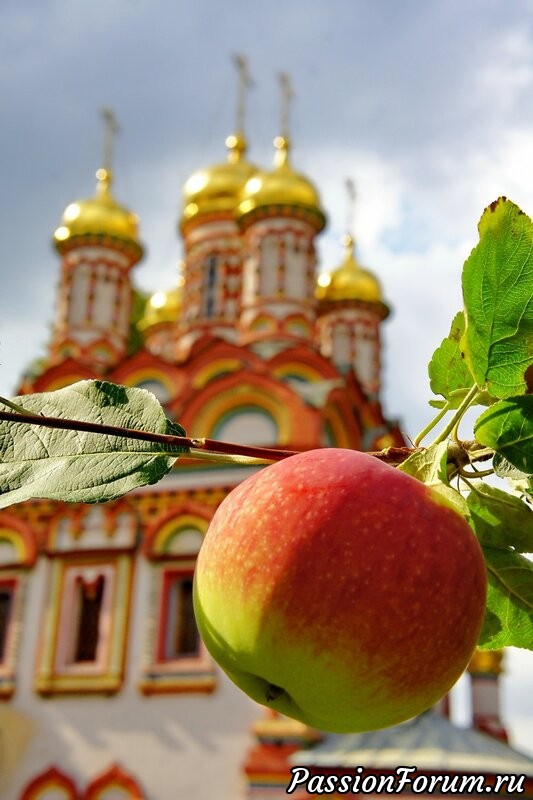 Яблочный спас.