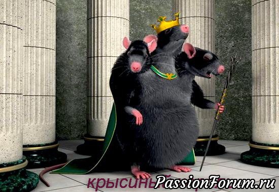 Крысиный король по мк А. Голеневой