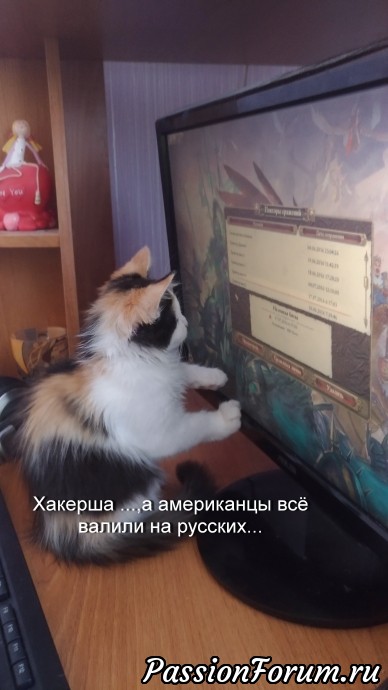 Джаз и Кайса.