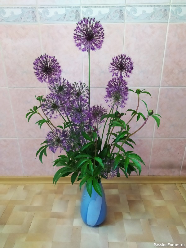 Голубая феечка.