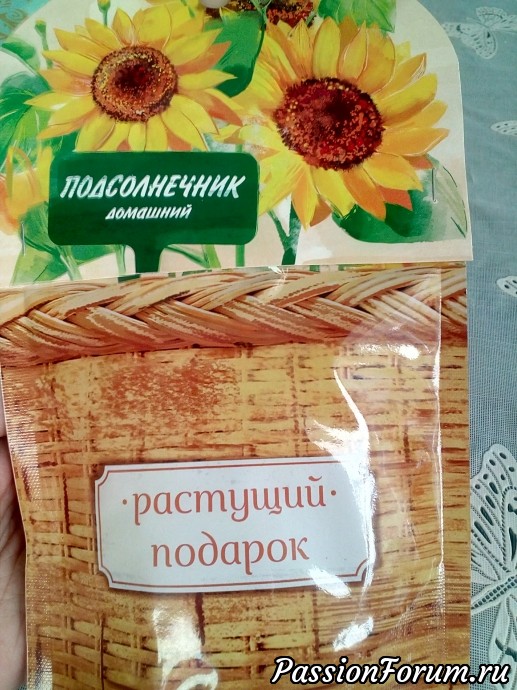 И меня посетила летняя феечка!