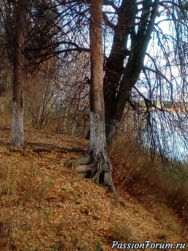 Вспомним осень, в последний день осени...