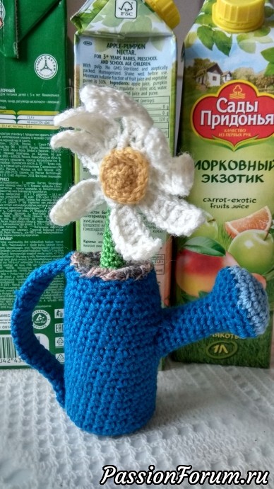 Ромашка в лейке!