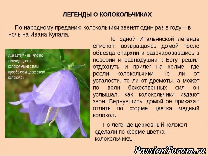 Варежки "Колокольчики".Связаны спицами.