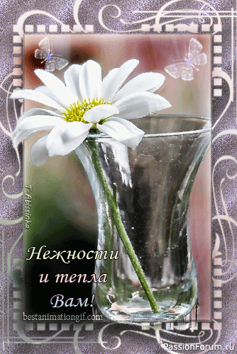 Варежки женские "Нежность". Связаны спицами. Схема.