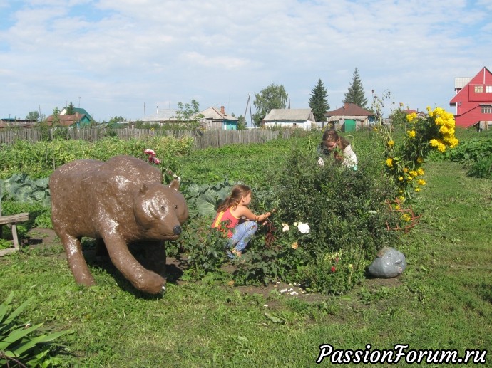 Мой домик в деревне