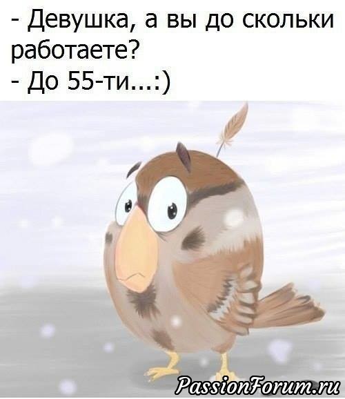 На новогодних каникулах нам потребуется немалое чувство юмора, ведь мужья и жёны будут вместе...