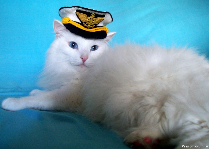 К дню ВМФ.