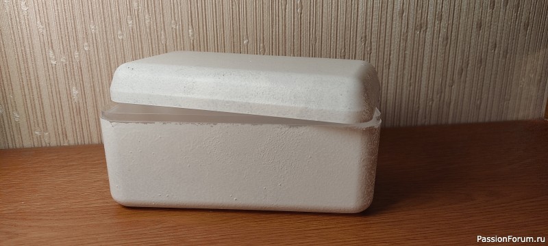 Каменная и морская коробочки