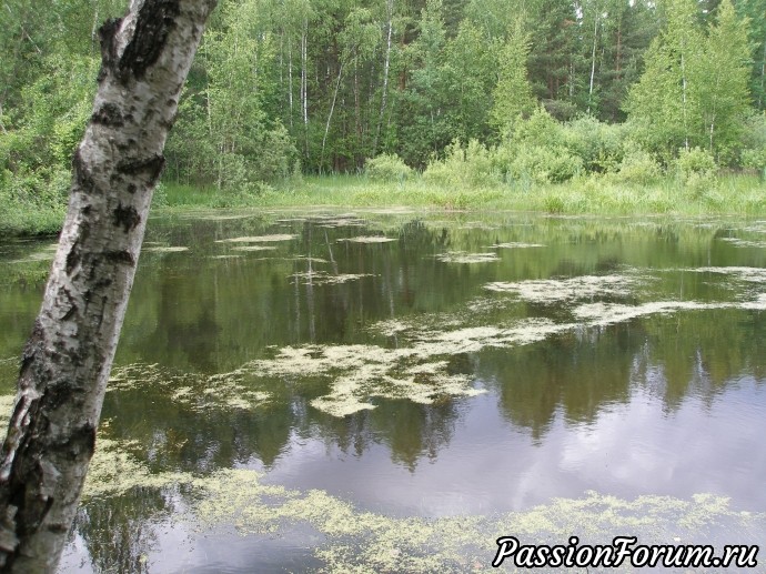 Место, которого больше нет