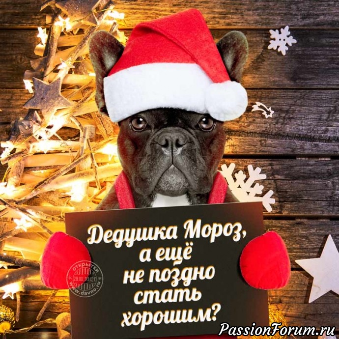 Прикольные новогодние открытки