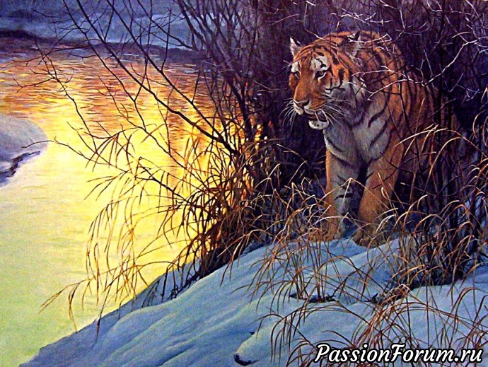 Тигр - символ величия и мощи