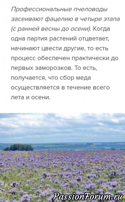 Молдавская "пчелка" летит в гости.