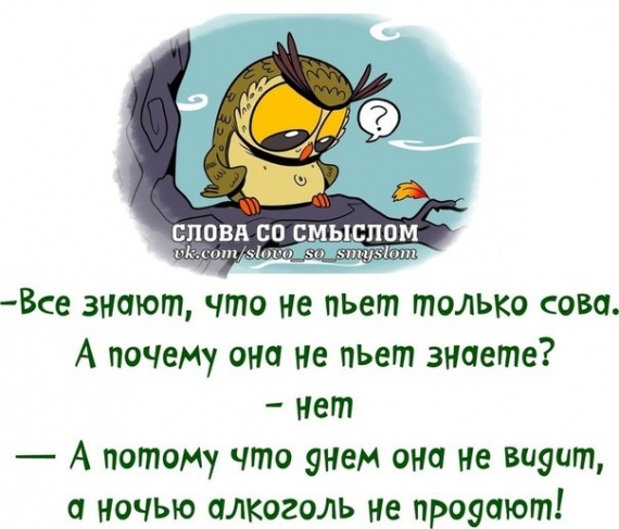 Поймай улыбку и передай другому!