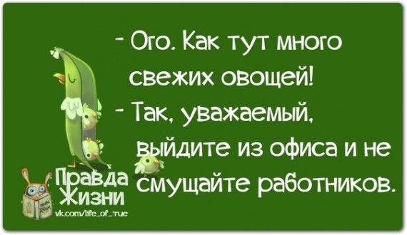 Поймай улыбку и передай другому!