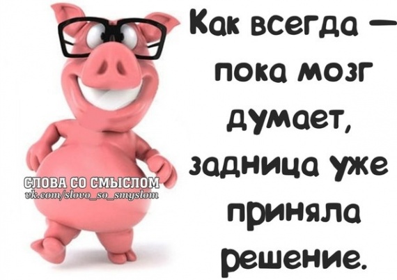 Поймай улыбку и передай другому!
