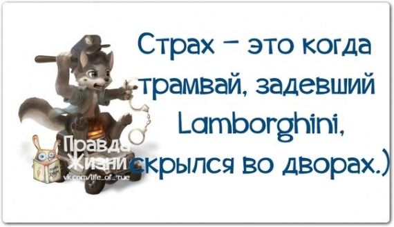 Поймай улыбку и передай другому!