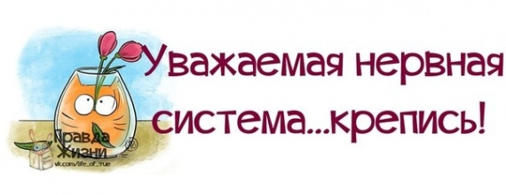 Поймай улыбку и передай другому!