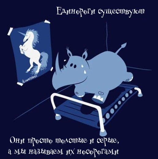 Поймай улыбку и передай другому!