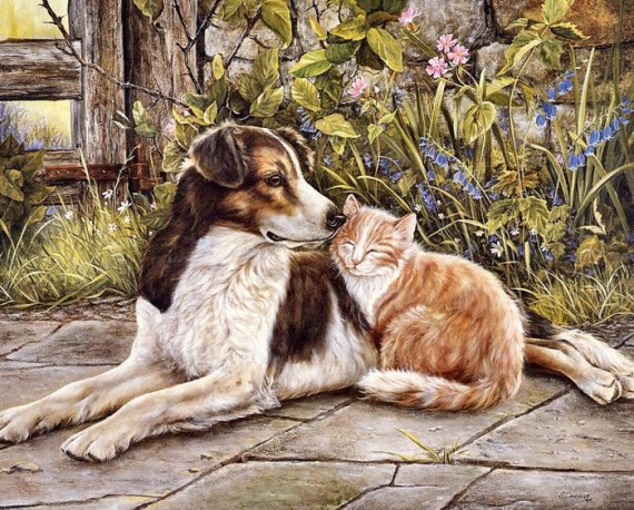 Картинки. Милые животные.