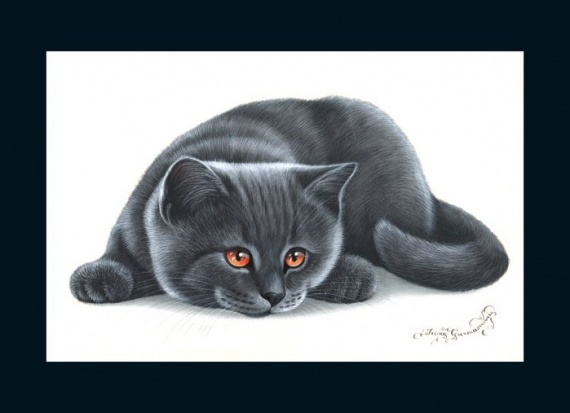 Кошки от художницы Ирины Гармашовой.