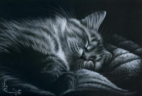 Кошки от художницы Ирины Гармашовой.
