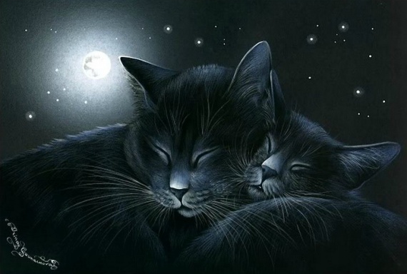 Кошки от художницы Ирины Гармашовой.