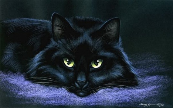 Кошки от художницы Ирины Гармашовой.