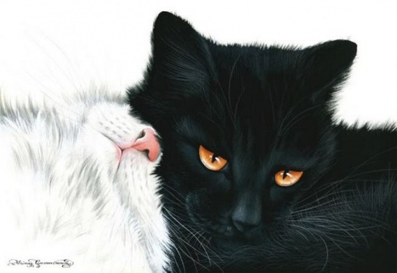Кошки от художницы Ирины Гармашовой.