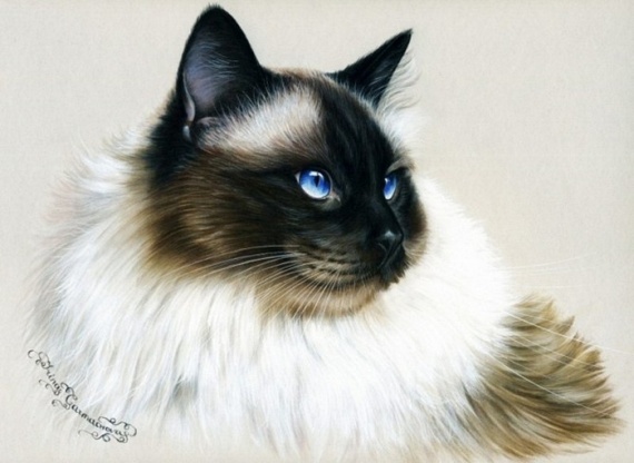 Кошки от художницы Ирины Гармашовой.
