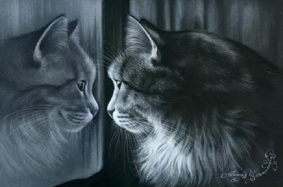 Кошки от художницы Ирины Гармашовой.