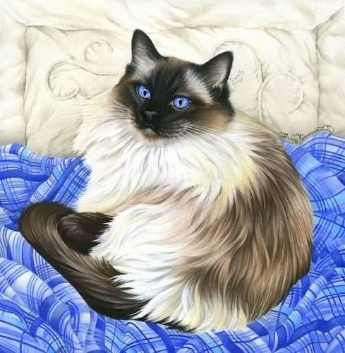 Кошки от художницы Ирины Гармашовой.