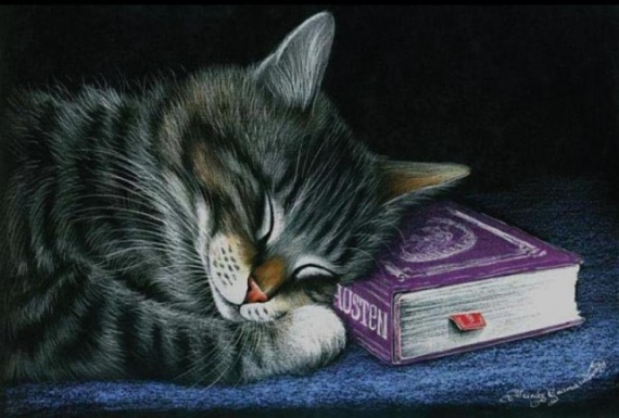 Кошки от художницы Ирины Гармашовой.