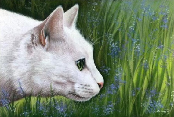Кошки от художницы Ирины Гармашовой.