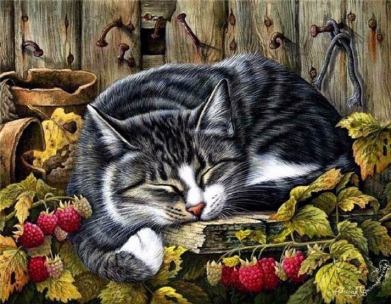 Кошки от художницы Ирины Гармашовой.