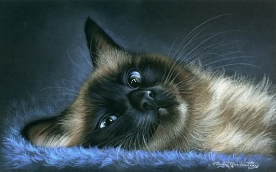 Кошки от художницы Ирины Гармашовой.